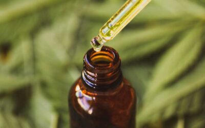 The Future of CBD Oil: What’s Trending in 2025?