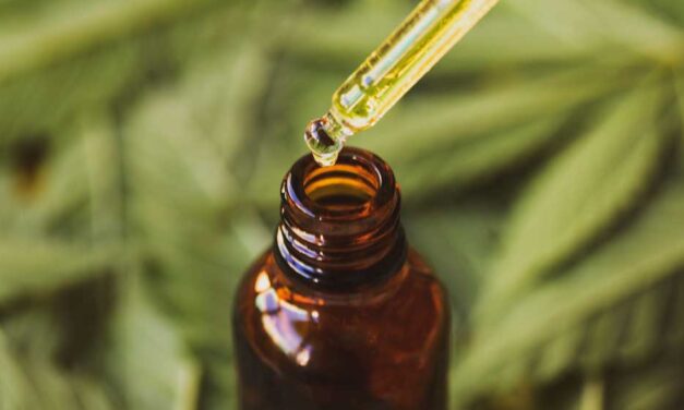 The Future of CBD Oil: What’s Trending in 2025?